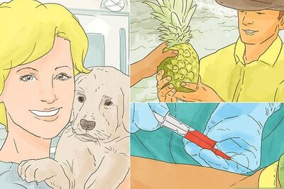 How to Study Toxicology