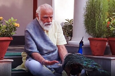 PM Narendra Modi Feeds Peacocks During Morning Exercise, Posts Video on Social Media