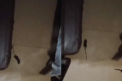 Shocking Video Shows Rat Scurrying In Bhubaneswar-Junagarh Express; Railway Responds