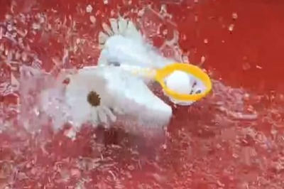 Bihar College Students Creates Robot Prototype Than Can Clean Rivers, Play Football