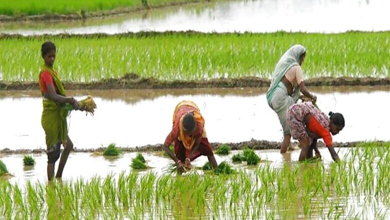Uttarakhand govt to launch farmers pension scheme on Aug 15