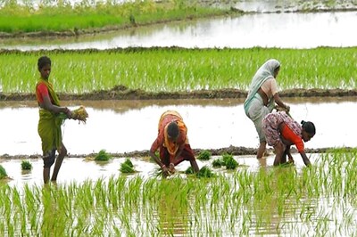 Uttarakhand govt to launch farmers pension scheme on Aug 15