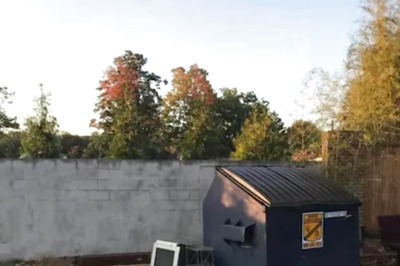 Spot The Hidden Deer In This House Backyard. You Have 10 Seconds