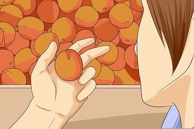 How to Dry Apricots