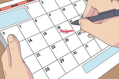 How to Fly Internationally With a Dog