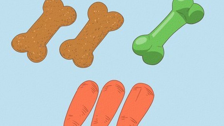 How to Teach Your Dog to Speak