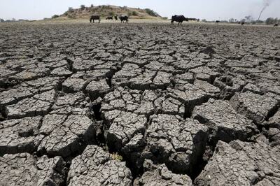 12-Year-Old Goes to Fetch Water For Family, Dies of Heat Stroke