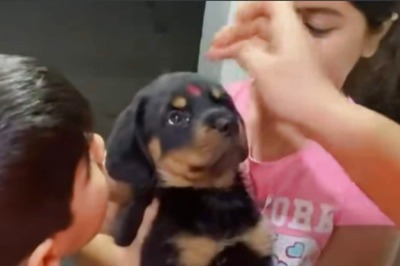 This Video Of A Family Welcoming Puppy With Aarti Will Melt Your Heart
