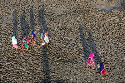 German Farmers Sue Government Over Missed Climate Protection Targets
