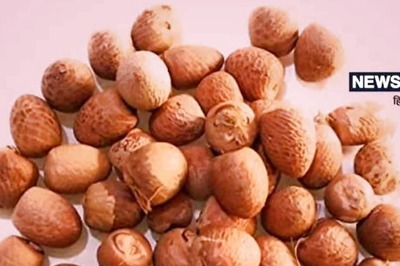 From Oral Health to Indigestion, Betel Nuts is the Solution to All Issues