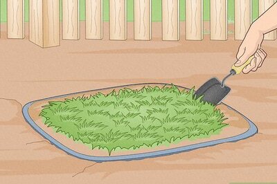 How to Keep Landscape Grasses from Spreading