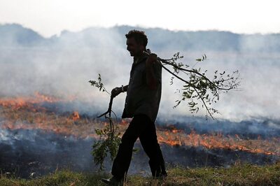 Burning Problem: Punjab Issues 8-point Action Plan Against Farm Fires As Delhi Breathes 'Very Poor' Air