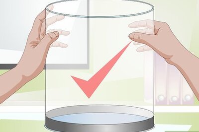 How to Start a Jellyfish Tank