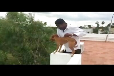 Video Shows Man Throwing Dog from Rooftop, Police Say He's MBBS Student