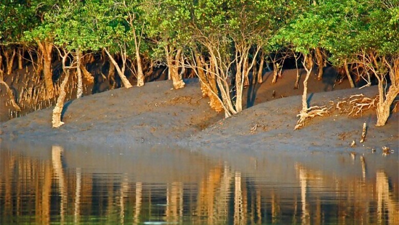 Man-animal conflict to rise in Sunderbans : study