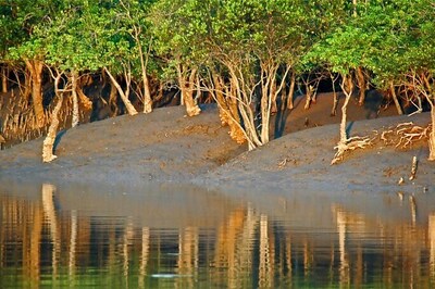 Man-animal conflict to rise in Sunderbans : study