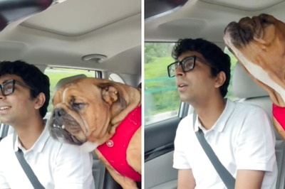 Bulldog's Unbelievable Karaoke Timing On Believer Has Internet In Splits: 'Imagine Doggos'