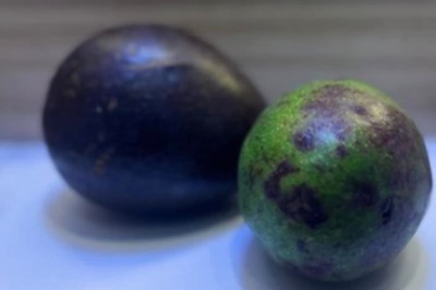 Bengaluru Family Offers Avocados At Puja Ceremony. Internet Says 'No More Middle Class'