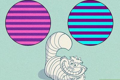 How to Make a Cheshire Cat Costume