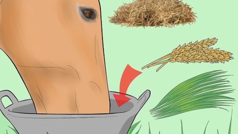 How to Prevent a Horse From Colicking