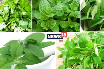 Use These 5 Leaves For Healthy And Glowing Skin