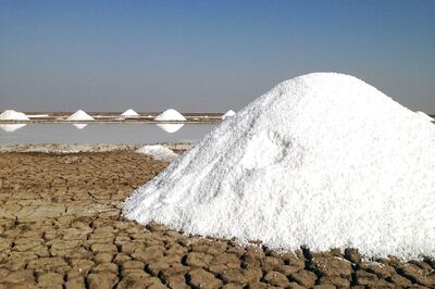 Desert Salt Farmers in Gujarat Feel the Heat from Climate Change