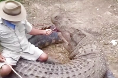 Watch: Man Rides A Crocodile And Feeds Him A Piece Of Meat, Internet Petrified