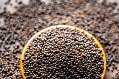 Weight Loss: Mustard Seeds are Your Answer to Weight Loss Woes