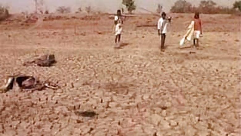 Haryana government releases cheques of Rs 28 crore for farmers
