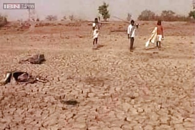 Haryana government releases cheques of Rs 28 crore for farmers