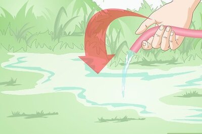 How to Make a Frog Home in a Garden