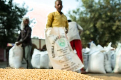 Wheat Export Ban to Continue for Now: Commerce Minister Piyush Goyal