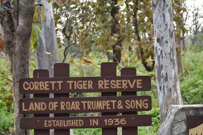 Jim Corbett Death Anniversary: Interesting Facts About the Hunter Who Killed 19 Tigers, 14 Leopards