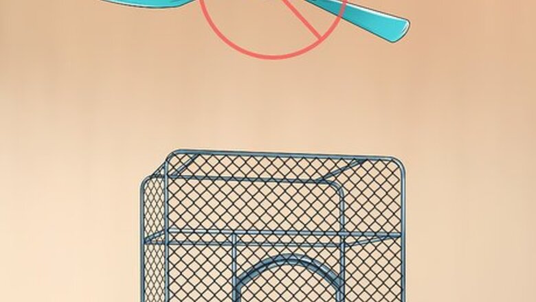 How to Protect Birds from Household Dangers