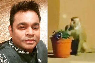 Meet AR Rahman's 'Little Friend' At President's Dinner For Trump