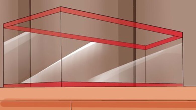 How to Make Your Fish Live Longer