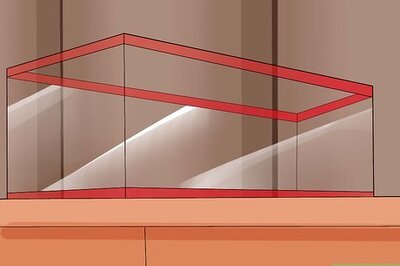 How to Make Your Fish Live Longer