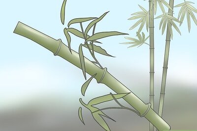 How to Make a Rainstick