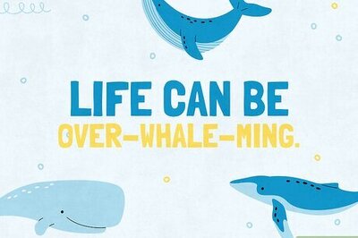 95 Whale Puns & Jokes That Make a Splash