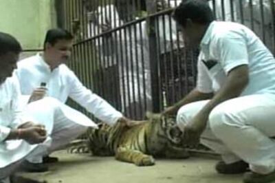 Minister flouts Nagpur zoo rules, enters tiger's cage