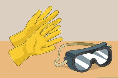 How to Clean and Polish a Conch Shell