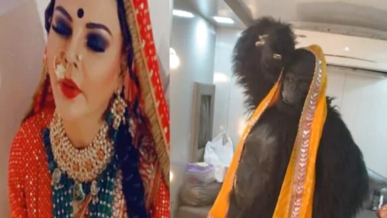 Watch: Rakhi Sawant, in Gorilla Getup, Performs on 'Choli Ke Peeche Kya Hai'