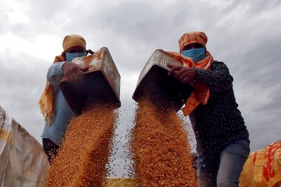 India's Wheat Exports Pick Up as Global Prices Surge Amid Ukraine War; European Market Still Untapped