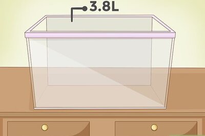 How to Set up an Aquarium With Live Plants