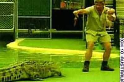 'Reckless' Irwin lived on the edge