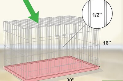 How to House a Canary