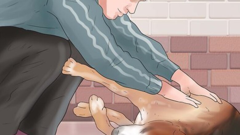 How to Help a Dog Who Has Canine Epilepsy