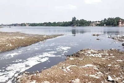 Water Supply in These Parts of Delhi Likely to Be Hit Due to Ammonia Level in Yamuna: DJB