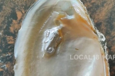 Karnataka Farmer Grows Pearls At Home, Earns Thousands From Each Shell