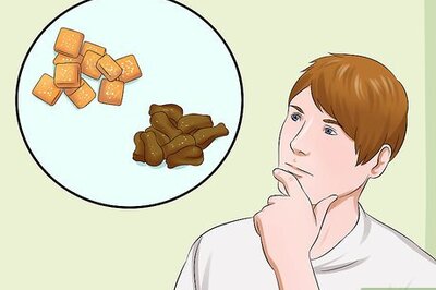 How to Train Your Cat to Listen